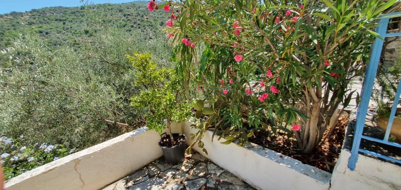 Maison Charme Avec Piscine Privee, Pres De La Mer A Sappounakeika, Tyros Sapounakeika Bagian luar foto